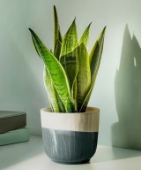 Unique Ceramic Gray Handmade Plant Pot