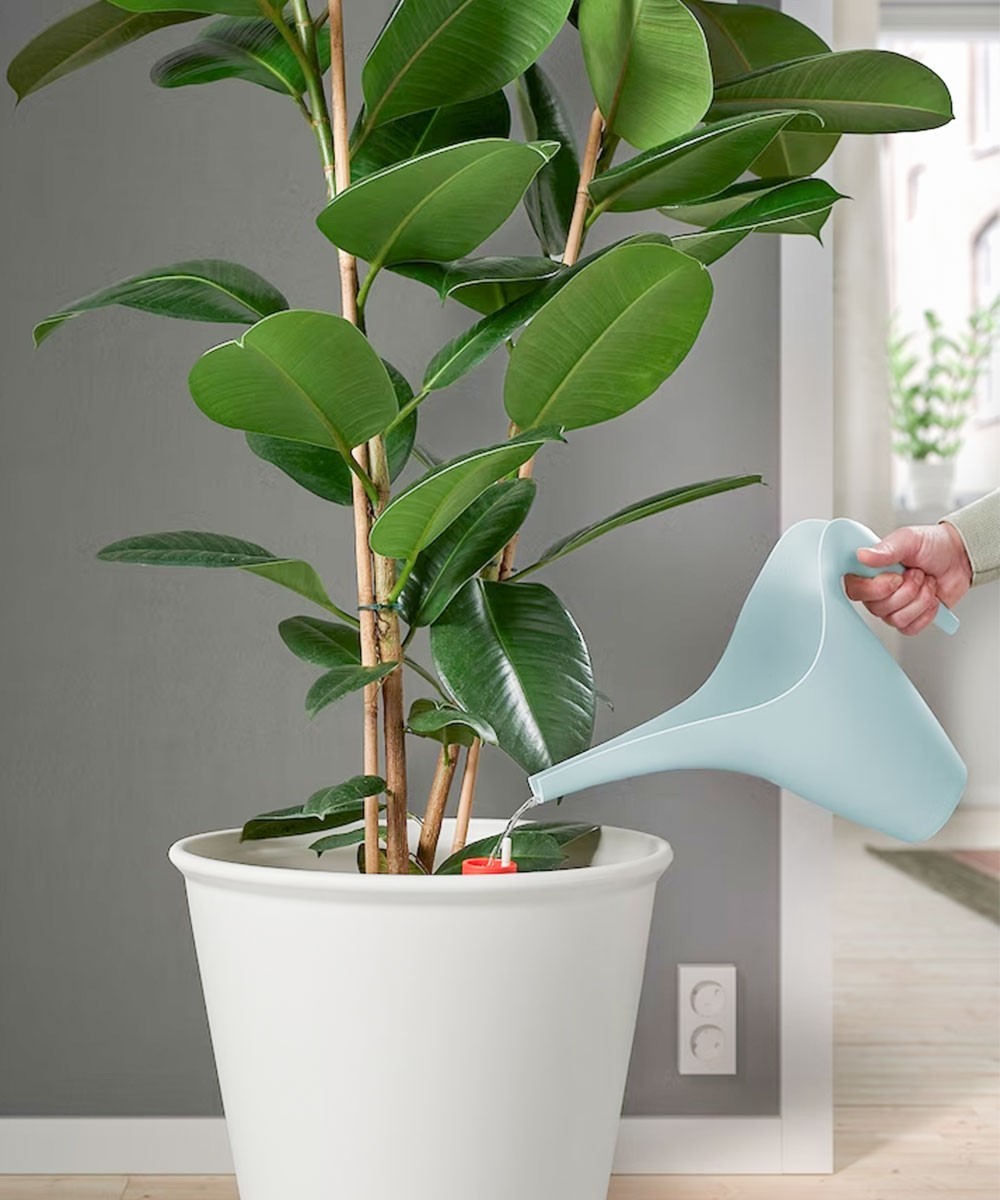 Yesland Plastic Watering Can Easy Pour Algeria