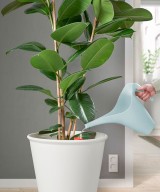 Yesland Plastic Watering Can Easy Pour Algeria