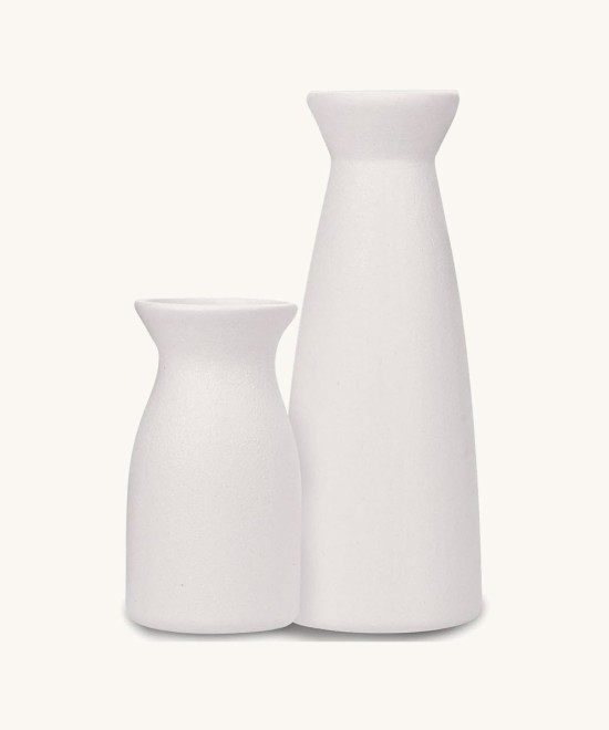 Joynisy Ceramic Vase Set of 2, White Matte Vase