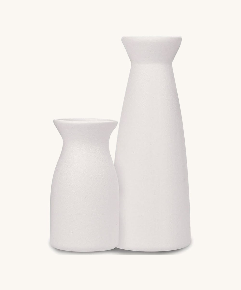Joynisy Ceramic Vase Set of 2, White Matte Vase
