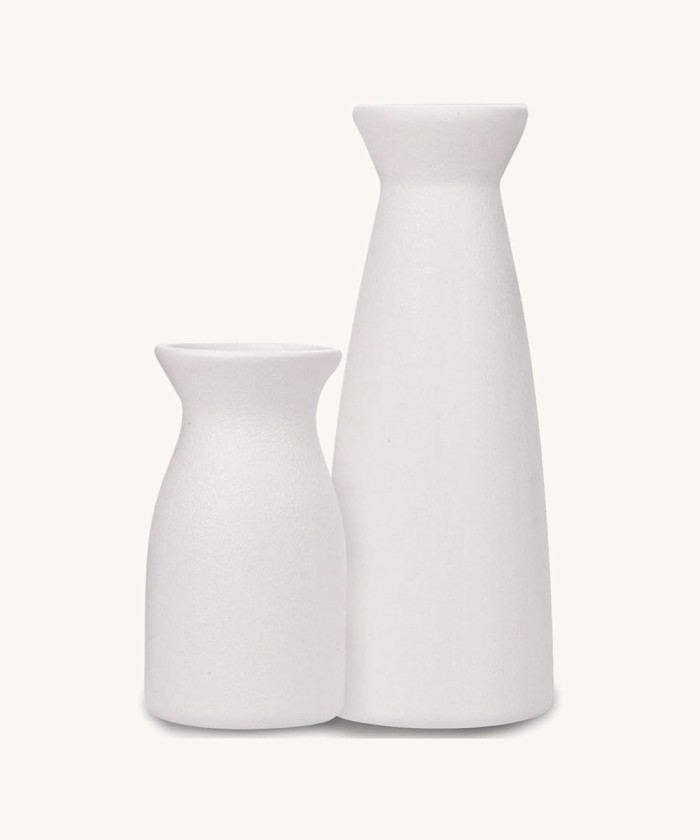 Joynisy Ceramic Vase Set of 2, White Matte Vase