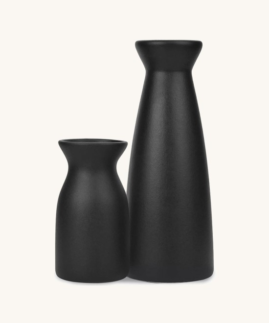 Joynisy Ceramic Vase Set of 2, White Matte Vase